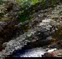 Potoroo Falls walk - Accommodation Batemans Bay