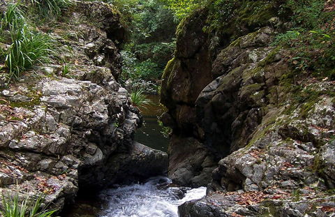 Potoroo Falls Walk - Accommodation Batemans Bay 0