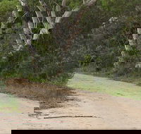 Riverview walking track - Accommodation Batemans Bay