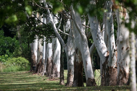 Teven Valley Golf Course - Accommodation Batemans Bay 1