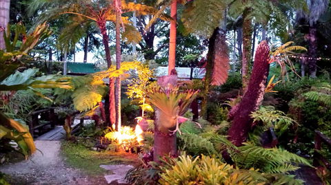 The Fernery At Diamond Waters - Accommodation Batemans Bay 0