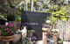 The Fernery At Diamond Waters - thumb 1