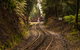 The West Coast Wilderness Way - thumb 0