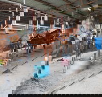 The Equine Club - Accommodation Batemans Bay