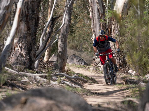 Thredbo Valley Track - Accommodation Batemans Bay 2