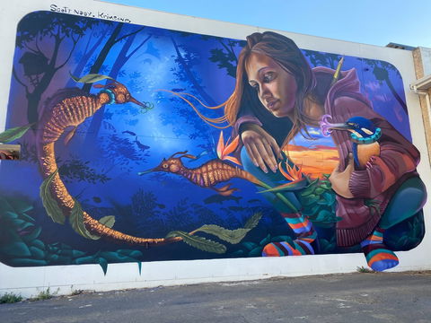Walk The Walls Cronulla Street Art Trail - Accommodation Batemans Bay 0