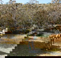 Wild Valley Art Park - Accommodation Batemans Bay