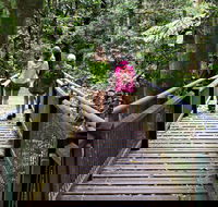 Wonga Walk - Accommodation Batemans Bay
