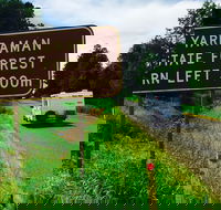 Yarraman - Accommodation Batemans Bay