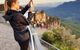 Ultimate Blue Mountains Waterfalls, Walks & Sunset PRIVATE Tour - thumb 7