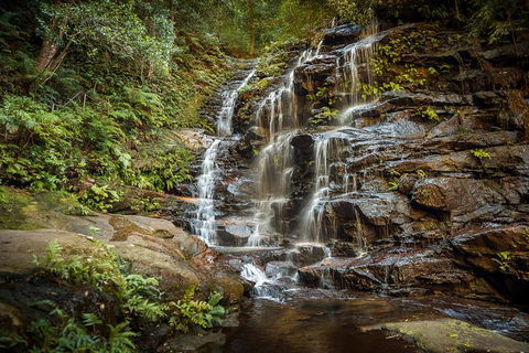 Ultimate Blue Mountains Waterfalls, Walks & Sunset PRIVATE Tour - Accommodation Batemans Bay 10