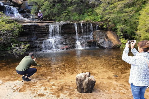 Ultimate Blue Mountains Waterfalls, Walks & Sunset PRIVATE Tour - Accommodation Batemans Bay 0
