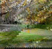 Gateway Island Parklands - Accommodation Batemans Bay