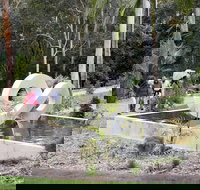 Maroochy Regional Bushland Botanic Garden - Accommodation Batemans Bay