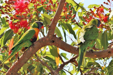 Half Day Manly Beach And More - Accommodation Batemans Bay 10