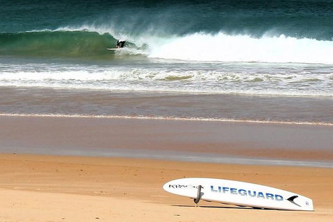 Half Day Manly Beach And More - Accommodation Batemans Bay 5