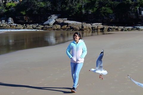 Half Day Manly Beach And More - Accommodation Batemans Bay 6
