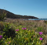 Big Rocky Full Day Guided Walk - Accommodation Batemans Bay