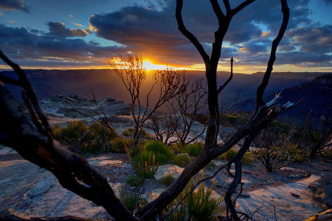 Ultimate Blue Mountains And Wildlife Tour - Accommodation Batemans Bay 0