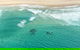 Coastal Helicopter Shared Flight - 20 Minutes - thumb 5