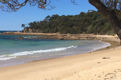 Highlights Of The Eurobodalla (half Day Private Tour) - Accommodation Batemans Bay 5