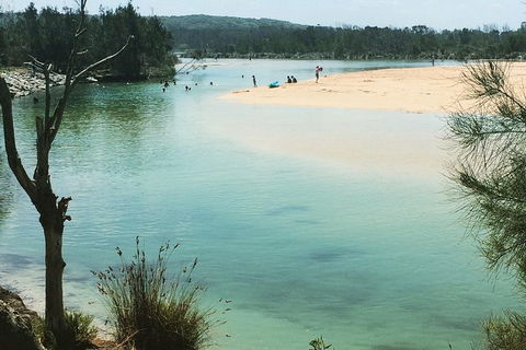 Highlights Of The Eurobodalla (half Day Private Tour) - Accommodation Batemans Bay 6