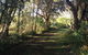 Coffs Harbour To Sawtell Bike Ride - thumb 7