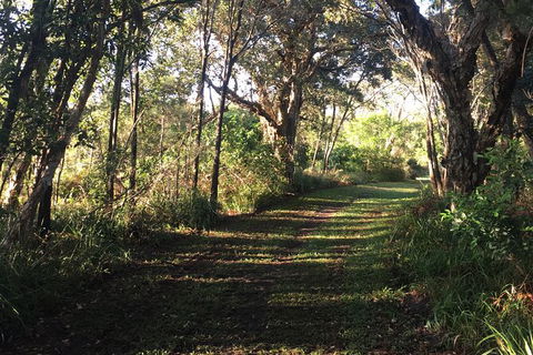 Coffs Harbour To Sawtell Bike Ride - Accommodation Batemans Bay 7