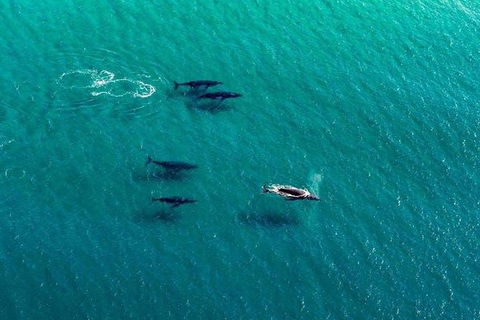 25-30 Minute Newcastle & Macquarie Helicopter Shared Flight - Accommodation Batemans Bay 2