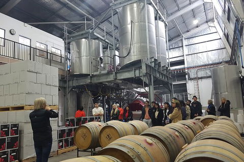 Hunter Valley Small Group Wine, Gin, Cheese & Chocolate Tour - Accommodation Batemans Bay 6