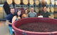 Hunter Valley Small Group Wine, Gin, Cheese & Chocolate Tour - thumb 0