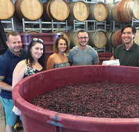 Hunter Valley Small Group Wine Gin Cheese  Chocolate Tour - Accommodation Batemans Bay