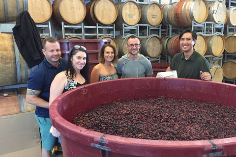 Hunter Valley Small Group Wine, Gin, Cheese & Chocolate Tour - Accommodation Batemans Bay 0