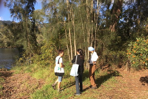 Fishermans Paradise Eco-walk - Accommodation Batemans Bay 1