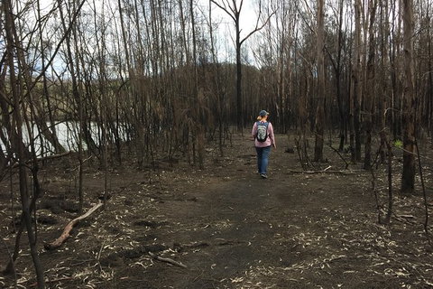 Fishermans Paradise Eco-walk - Accommodation Batemans Bay 5