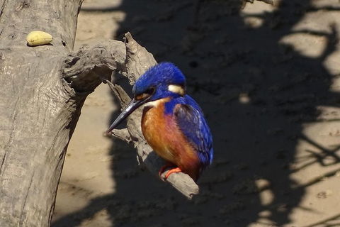 Byron Bay Sunset Rainforest Eco-Cruise - Accommodation Batemans Bay 3