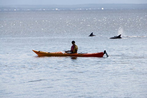 Half-Day Jervis Bay Sea Kayak Tour - Accommodation Batemans Bay 4