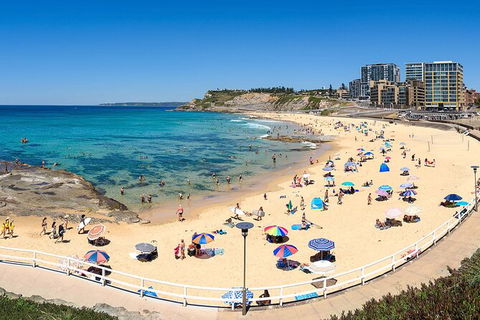 Newcastle Scenic Explorer - 2 Hour Tour By Minibus - Accommodation Batemans Bay 16
