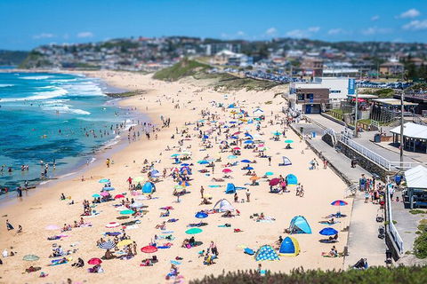Newcastle Scenic Explorer - 2 Hour Tour By Minibus - Accommodation Batemans Bay 6