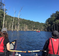 Canoes Cool Climate Wines  Canaps - Kangaroo Valley - Accommodation Batemans Bay