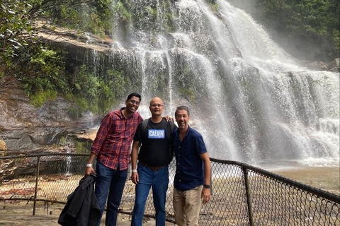 Blue Mountains Highlights & Wildlife Park - Accommodation Batemans Bay 4