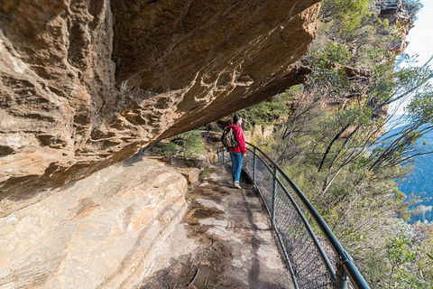 Blue Mountains Highlights & Wildlife Park - Accommodation Batemans Bay 0