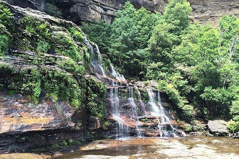 Blue Mountains Highlights & Wildlife Park - Accommodation Batemans Bay 8