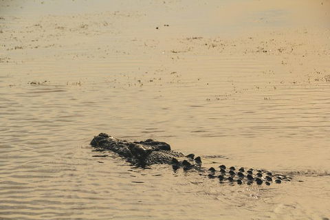 Yellow Water Cruise - Kakadu - Accommodation Batemans Bay 5