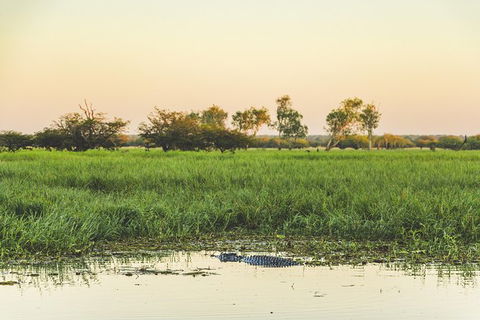 Yellow Water Cruise - Kakadu - Accommodation Batemans Bay 4