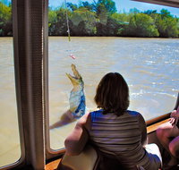 Jumping Crocs  Nature Adventure Cruise from Darwin - Accommodation Batemans Bay
