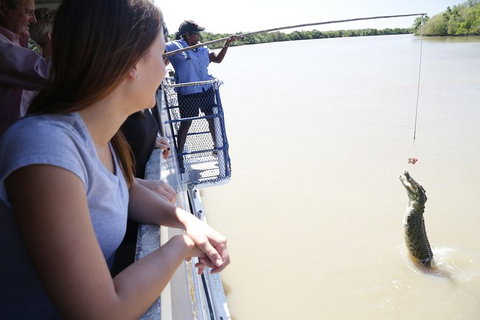 Darwin City Sights And Jumping Crocodile Cruise - Accommodation Batemans Bay 0