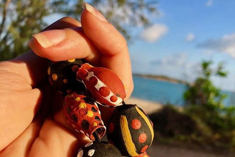 Gay-Wu Woman\'s 5 Day Yolngu Homeland Tour - Accommodation Batemans Bay 1
