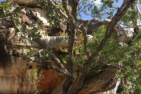 2-Hour 4WD Tour: Groote Eylandt Snapshot - Accommodation Batemans Bay 3