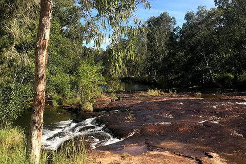 4-Hour Groote Eylandt Explorer 4WD Tour - Accommodation Batemans Bay 5
